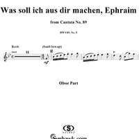 "Gerechter Gott, ach, rechnest du", Aria, No. 5 from Cantata No. 89: "Was soll ich aus dir machen, Ephraim?" - Oboe