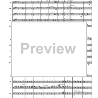 Turkey in the Straw - Score