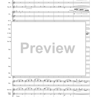 Harry Potter Symphonic Suite - Score