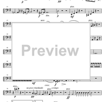 String Quintet G Major Op.33 - Cello