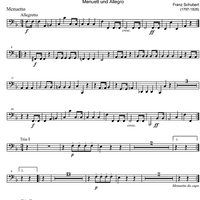 Octet F Major D72 - Bassoon 2