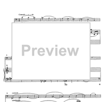 7 Miniatures - Score