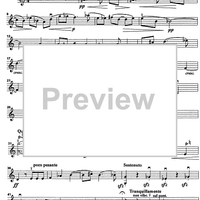 Godalni Quartet - Violin 1