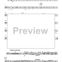 Concerto for Cello Quartet - Cello 3