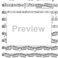 String Quintet C Major D956 - Viola