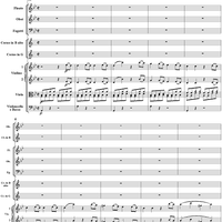 Symphony No. 40 in G Minor, Movement 1 - Full Score