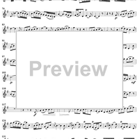 "Gelobet sei der Herr, mein Gott", Aria, No. 4 from Cantata No. 129: "Gelobet sei der Herr, mein Gott" - Violin