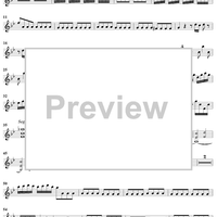 Flute Concerto in G Minor ("La Notte")  - Op. 10, No. 2 - RV 439 - Violin 1