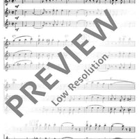 Flute Fun - Performing Score