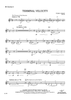 Terminal Velocity - Bb Clarinet 2