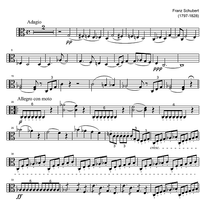 String Quartet No. 4 C Major D46 - Viola