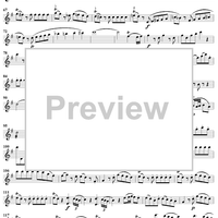 Eine kleine Nachtmusik - Violin 1