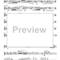 Three for Three - Flute