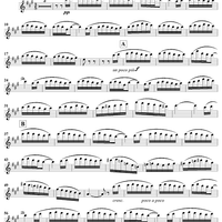 Spanish Dance in A Major, Op. 12, No. 3 - Flute