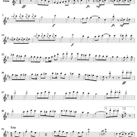 The U.S. Field Artillery March - Flute