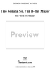 Trio Sonata no. 7 in B-flat major - op. 5/7  (HWV402)