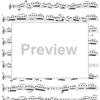 "Die Obrigkeit ist Gottes Gabe", Aria, No. 5 from Cantata No. 119: "Preise, Jerusalem, den Herrn" - Flute