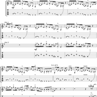 Life in the Fast Lane