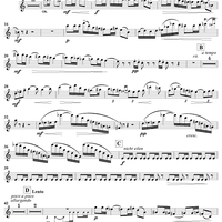 Kleine Kammermusik für fünf Bläser - Flute