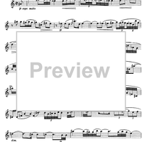 The Accomplished Clarinettist Vol. 2 - Clarinet