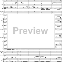 Symphony No. 40 in G Minor, Movement 1 - Full Score