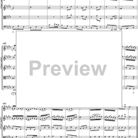 Violin Concerto No. 2 In E Major