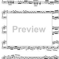 Concerto G Major BWV 986