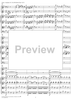 Symphony No. 24 in B-flat Major, K182 - Full Score