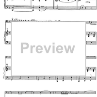 Suite andaluza - Score