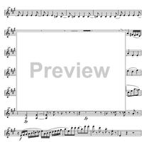 Quintet A Major KV581 - Violin 1