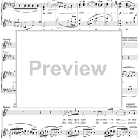 Siegfried, WWV86C, Third Act, Scene III, Siegfried, Brünnhilde