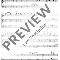 Flute Fun - Performing Score