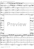 Double Violin Concerto - Score