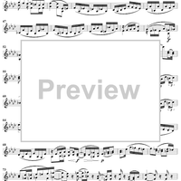 Violin Duet No. 14 in C Major, Op. 153 - Violin 2