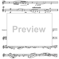 Sonata da camera No. 1 ... meditation and nocturnes - B-flat Bass Clarinet