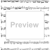 Sonata No. 11 in D Minor - Flute