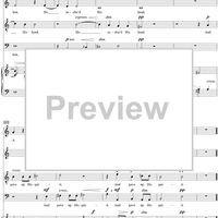 The Seven Last Words