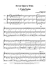 Seven Opera Trios - Score