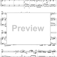 Flute Concerto in G Major - Piano