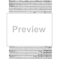 Birds In Light - Full Score