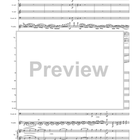 Violin Concerto in E Minor, Movement 1 - Full Score