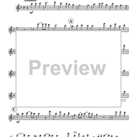 Renaissance Suite - Flute