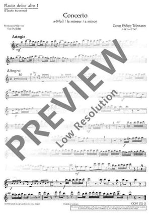 Concerto A minor - Flute I/treble Recorder I