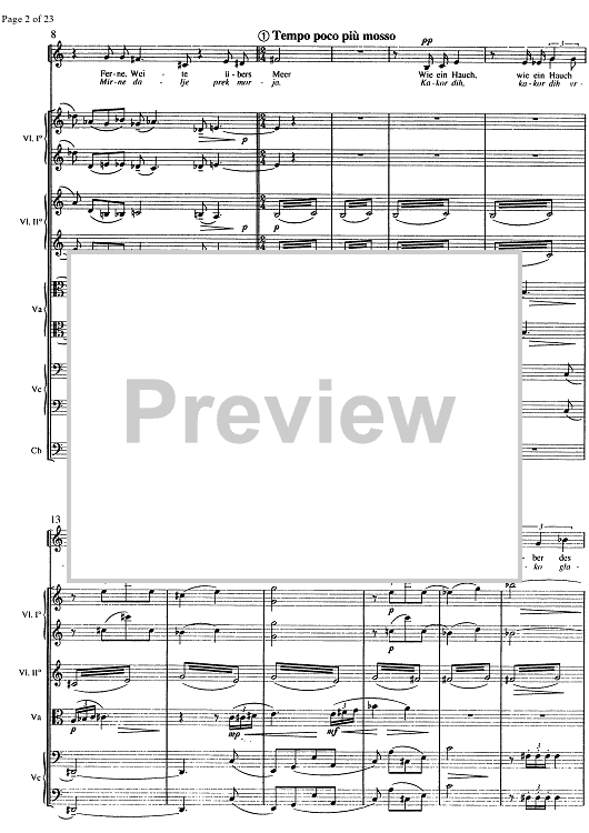 Am Wege zum Licht - Score