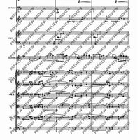 Il Vitalino raddoppiato - Full Score