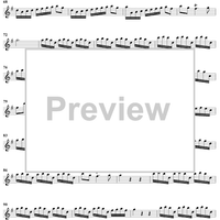 Flute Concerto in G Major, Op. 10, No. 6 - Flute