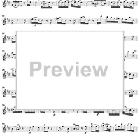 Sonata in D Major - Flute