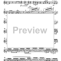 Va Pensiero from the opera Nabucco - Accordion 1