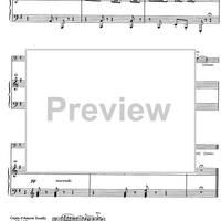 Suite andaluza - Score
