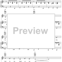 The Shady Dame from Seville